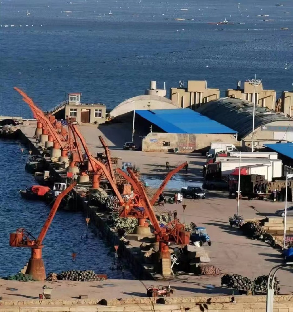 构建市场安全防护网，护航经销商共赢之路